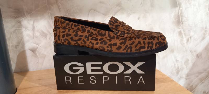 CHAUSSURE GEOX CONFORTABLE à LIBOURNE chez POINTURE FEMME