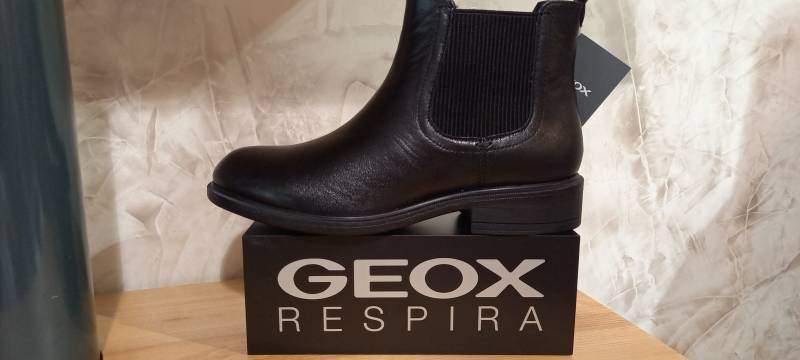 CHAUSSURE GEOX CONFORTABLE à LIBOURNE chez POINTURE FEMME